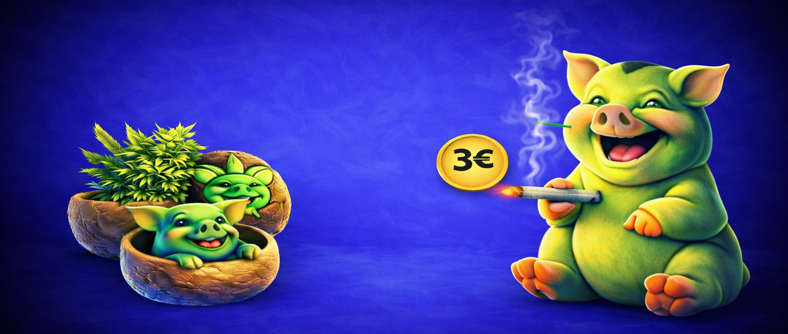 Descuento por puntos Descuento por puntos