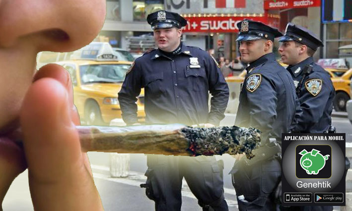 Nueva York no arrestará por consumo de marihuana en sus calles