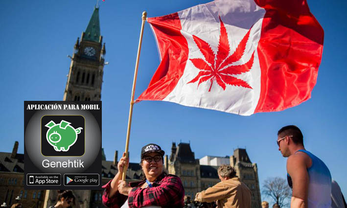 Canadá legaliza el uso recreativo de marihuana