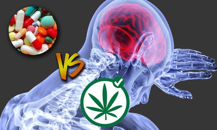 cannabis analgesico para el dolor