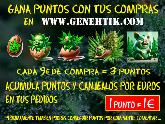 promocion genehtik seeds