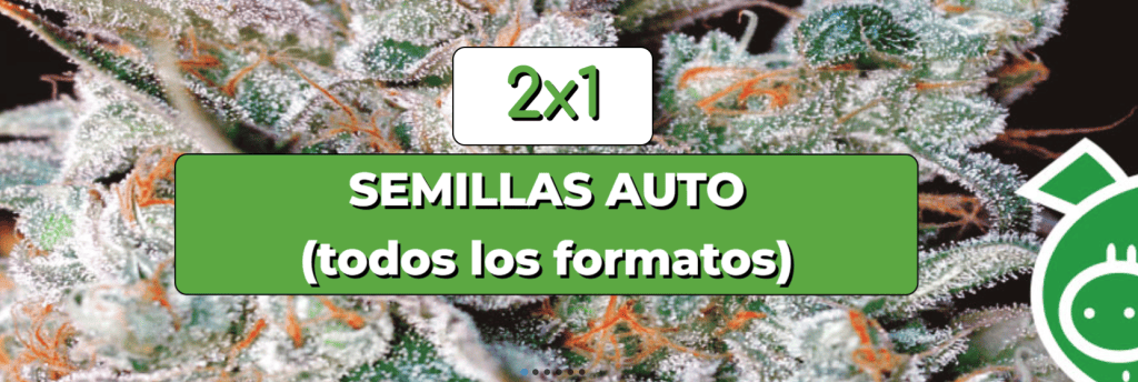 oferta 2x1 semillas autoflorecientes